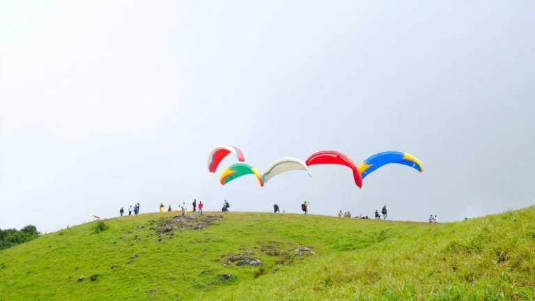 Vagamon Tour package