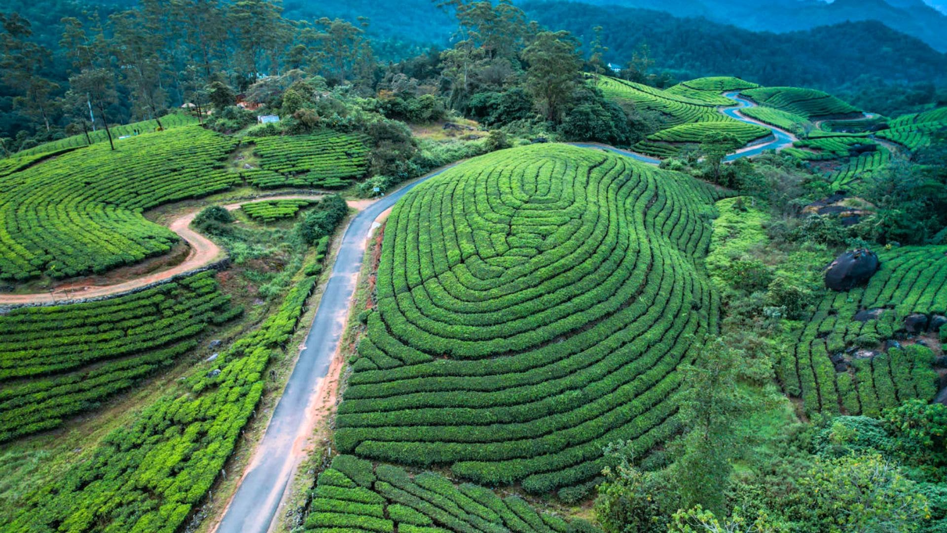 A Full Week of Wonders at Kerala